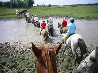 Ilha do Maraj