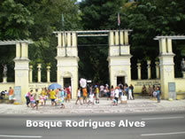 Bosque Rodrigues Alves