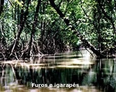 Furos e Igaraps