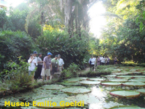 Museu Emlio Goeldi